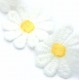 Daisy Embroidered Elastic Bandeau (6ct) RRP (ACC8640) £1.99