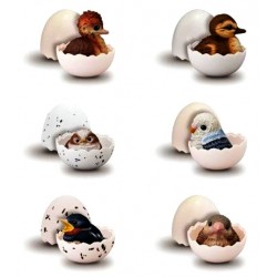 Birds Tenori Friends Figures (12ct) RRP £4.99 Birds Tenori Friends Figures (12ct) RRP £4.99