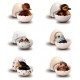 Birds Tenori Friends Figures (12ct) RRP £4.99 Birds Tenori Friends Figures (12ct) RRP £4.99