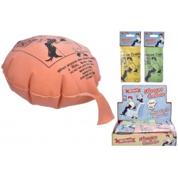 Whoopee Cushions (24ct) RRP £1.25