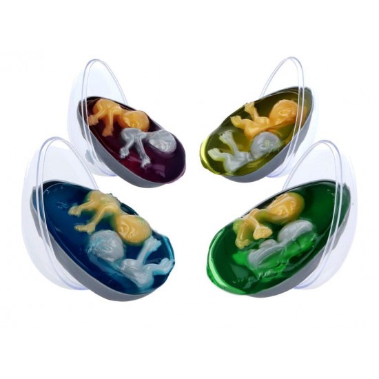 Alien Egg with Twin Babies (12ct) RRP £1.99